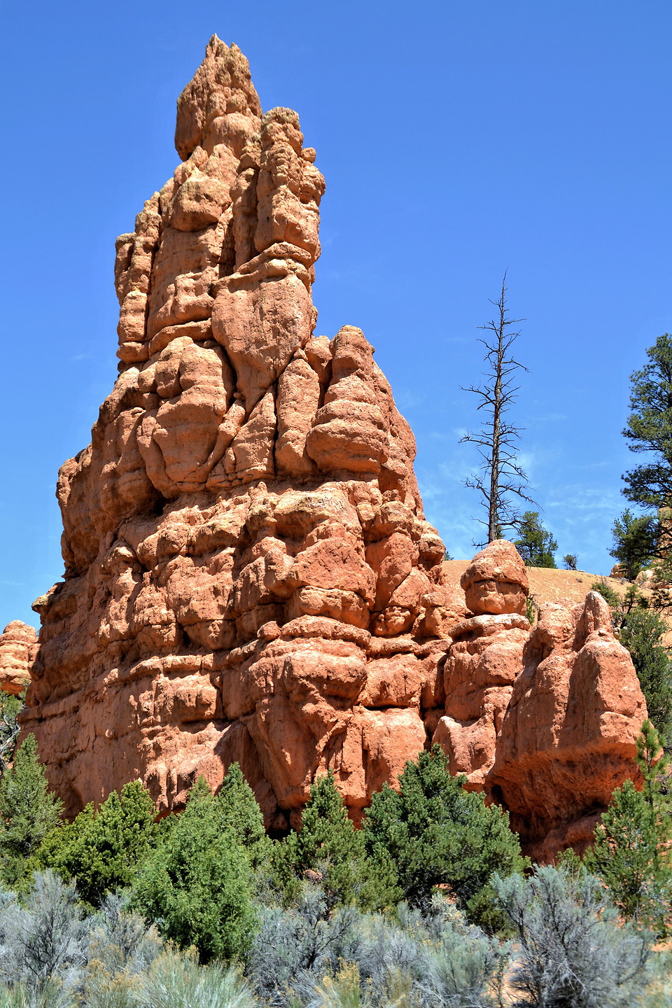 Red Canyon (Dixie National Forest)
