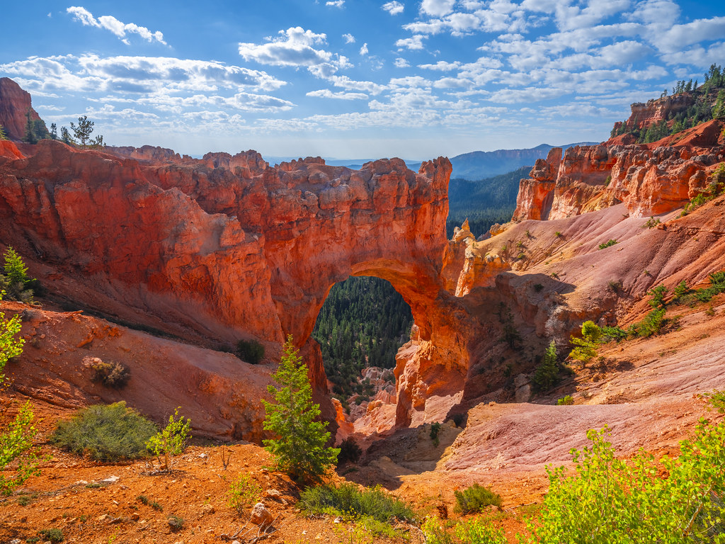 Natural Bridge