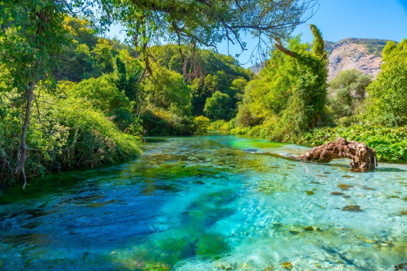 The Blue Eye Spring Pool