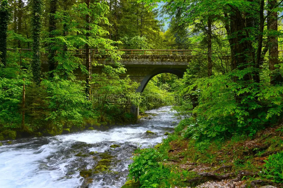 Trail Walk to the Spring