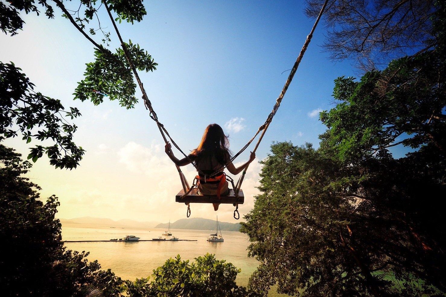 The Beach Club Swings