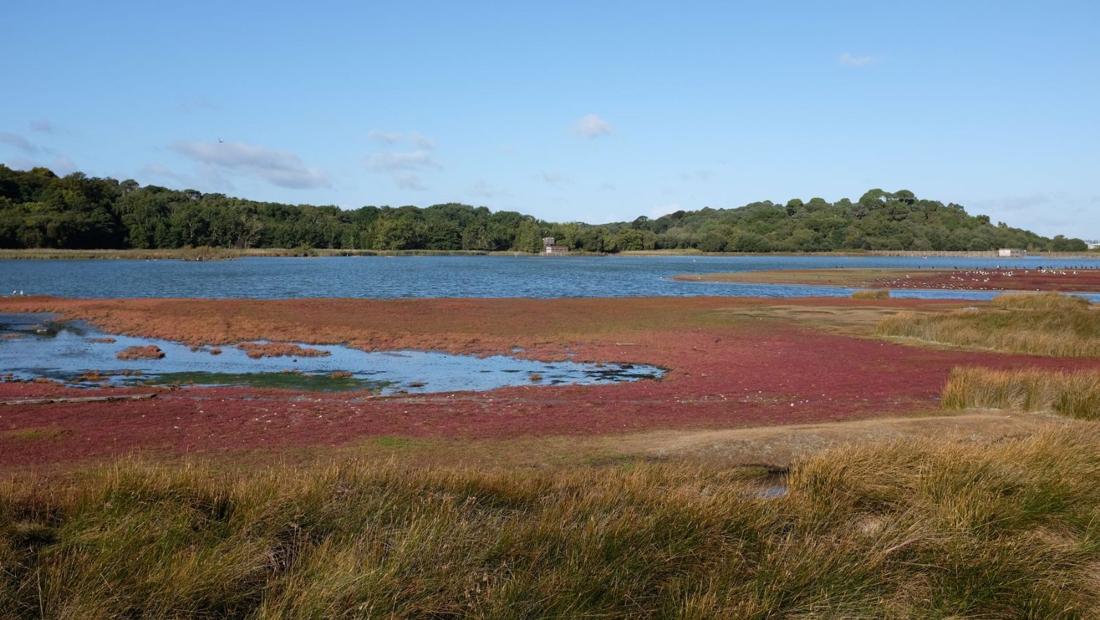 North Lagoon