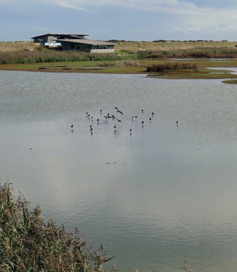 Freshwater Lagoons