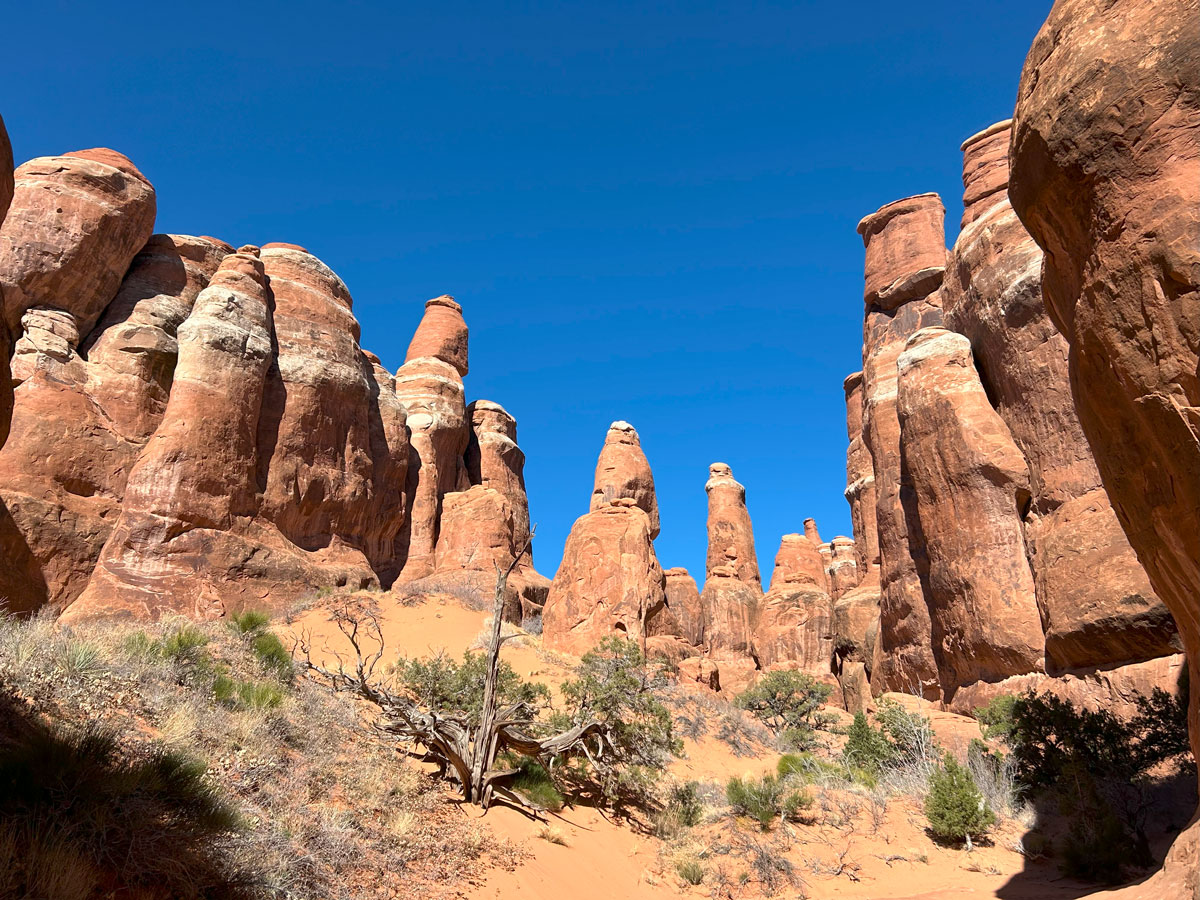 Fiery Furnace