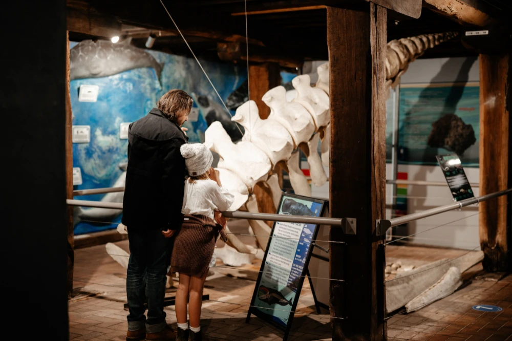 South Australian Whale Centre