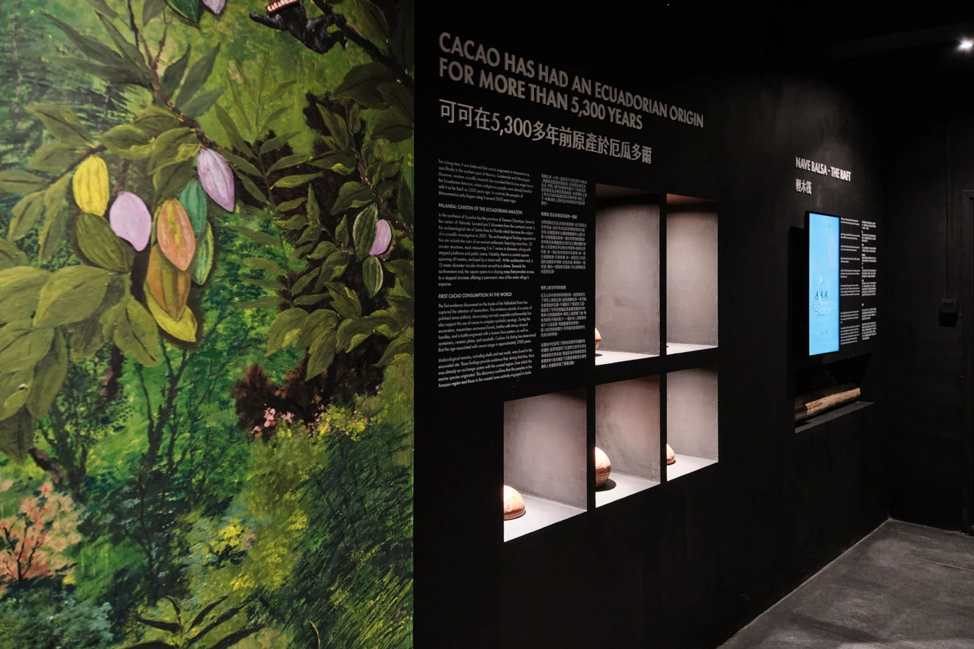 Cacao Museum