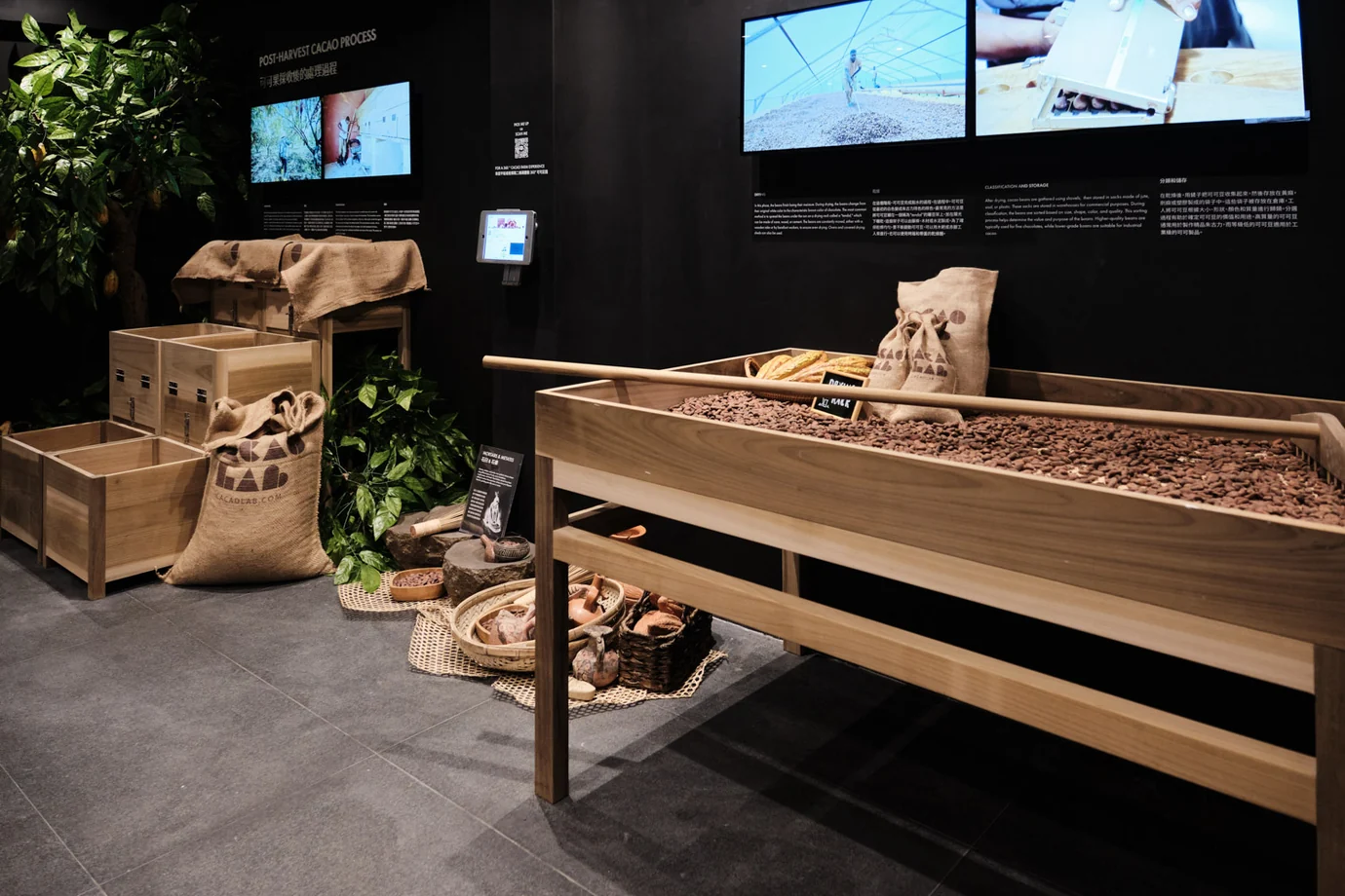 Cocoa Museum