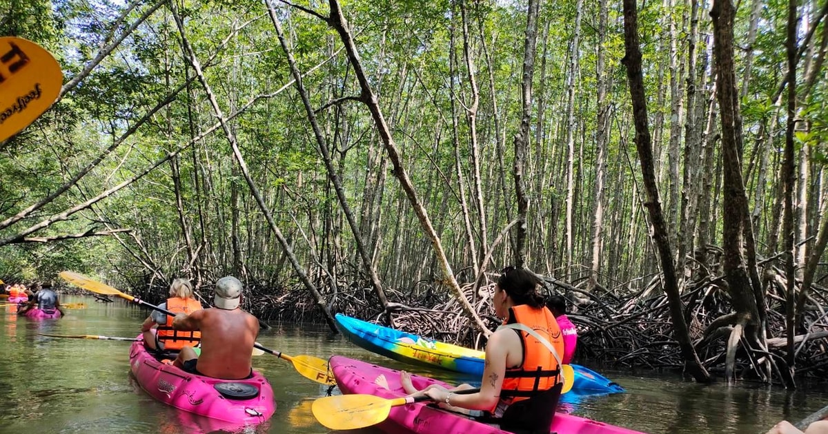 Than Bok Khorani National Park Mangrove Trail