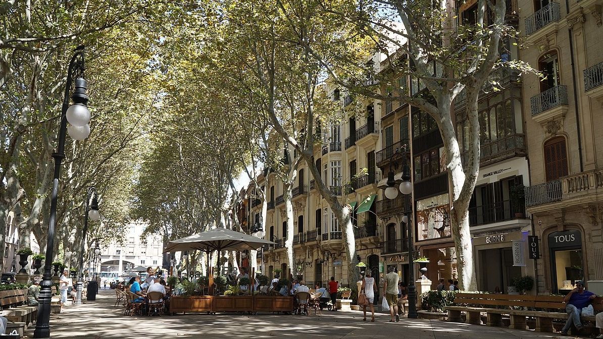 Passeig del Born