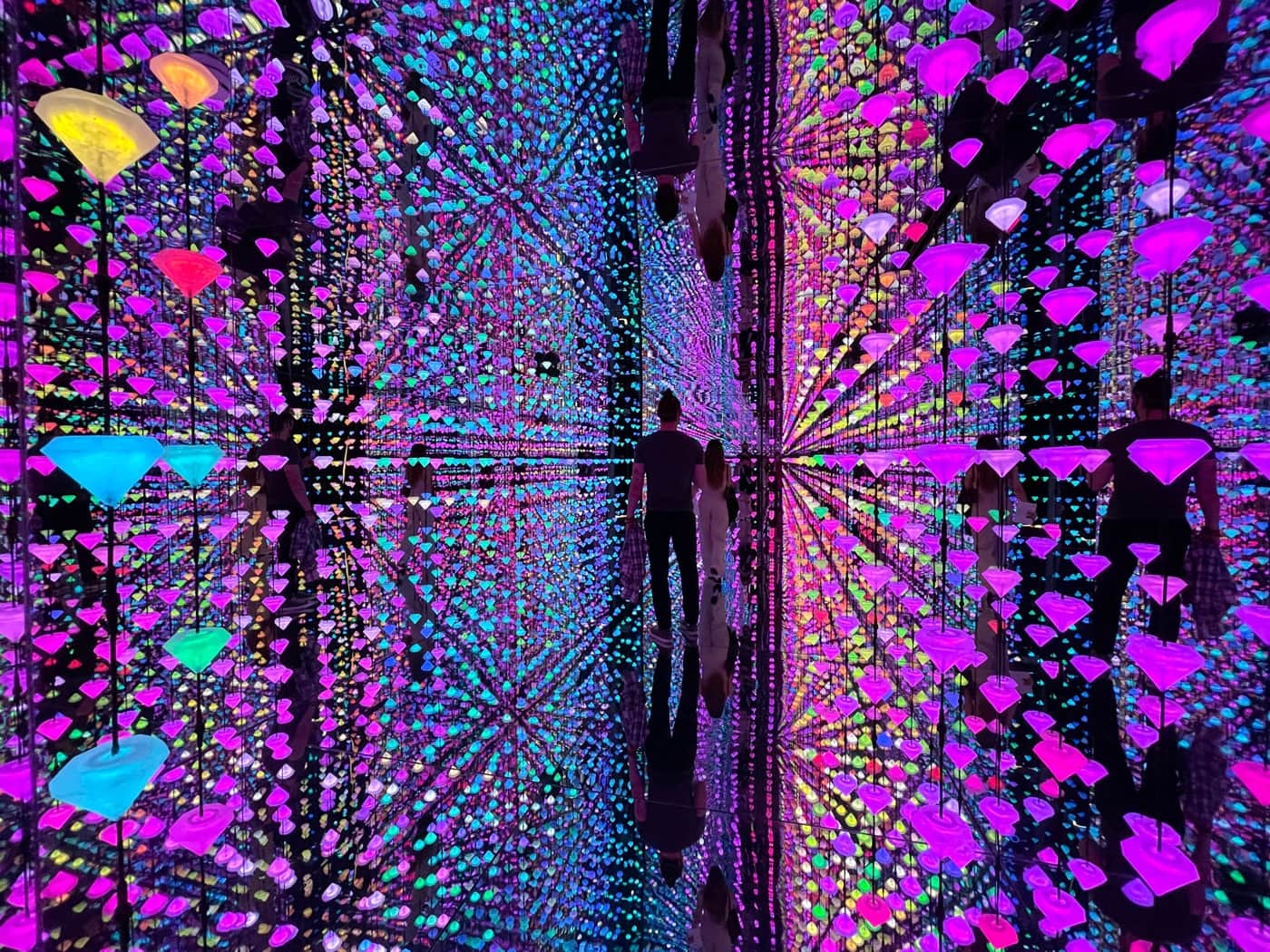 teamLab Immersive Digital Room