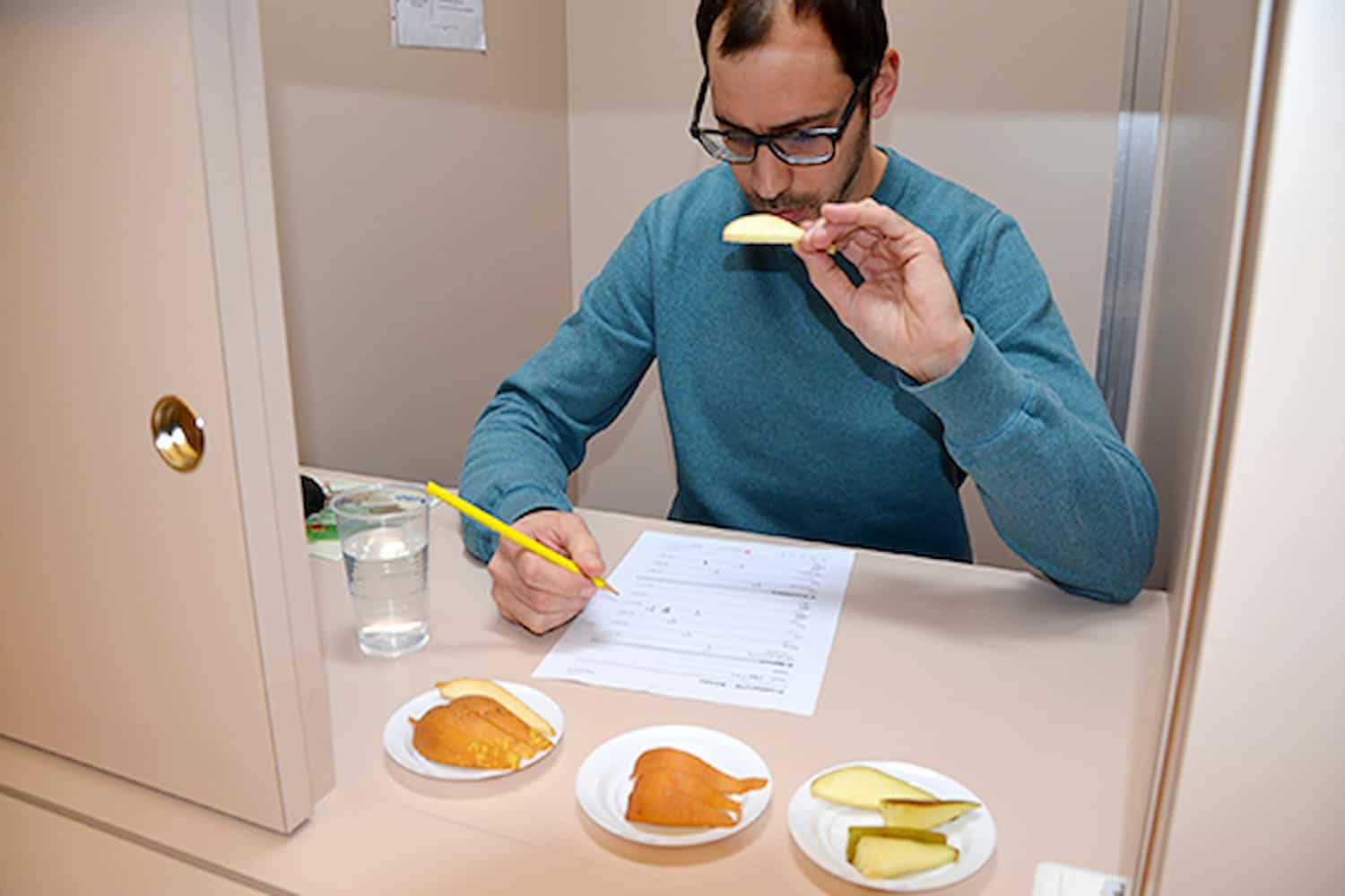 What Is a Professional Cheese Taster Called