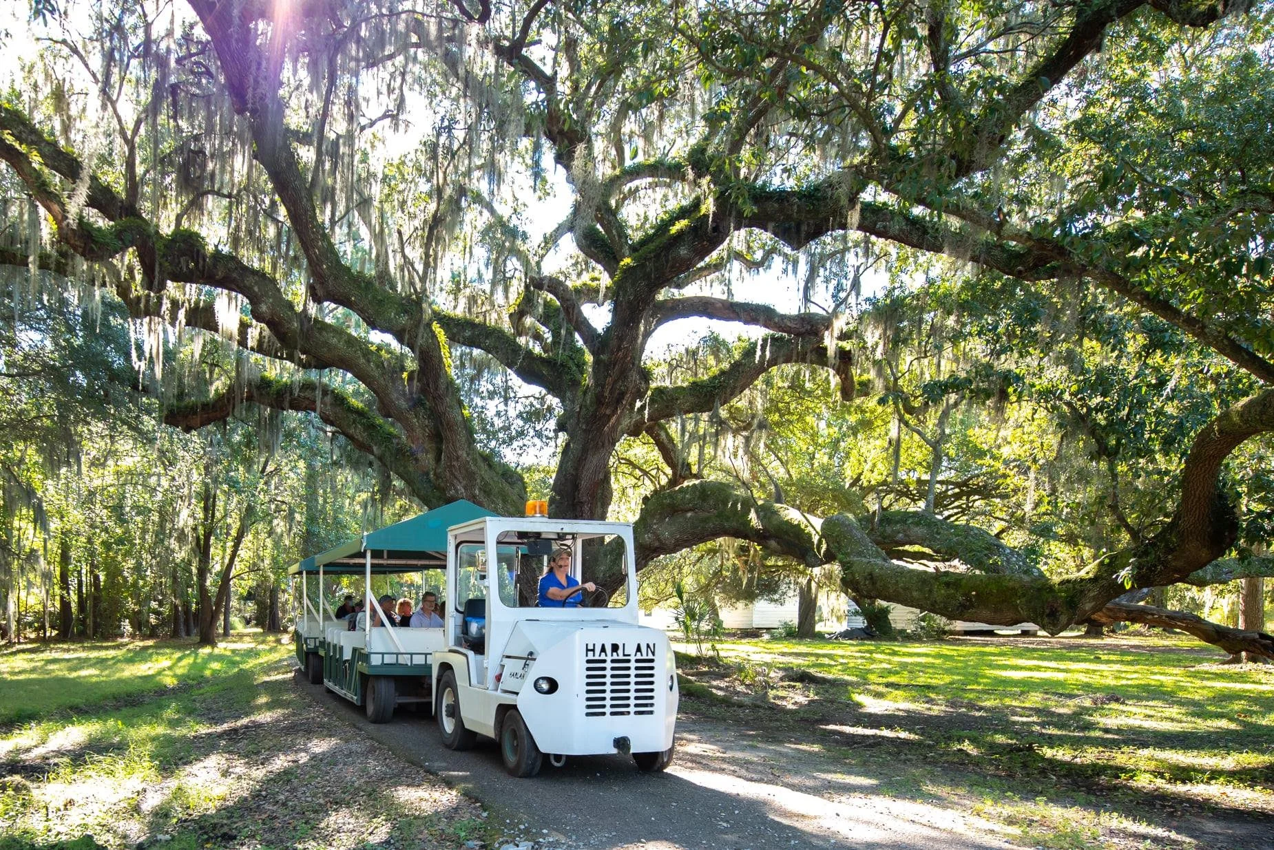 Tour in Nature Train