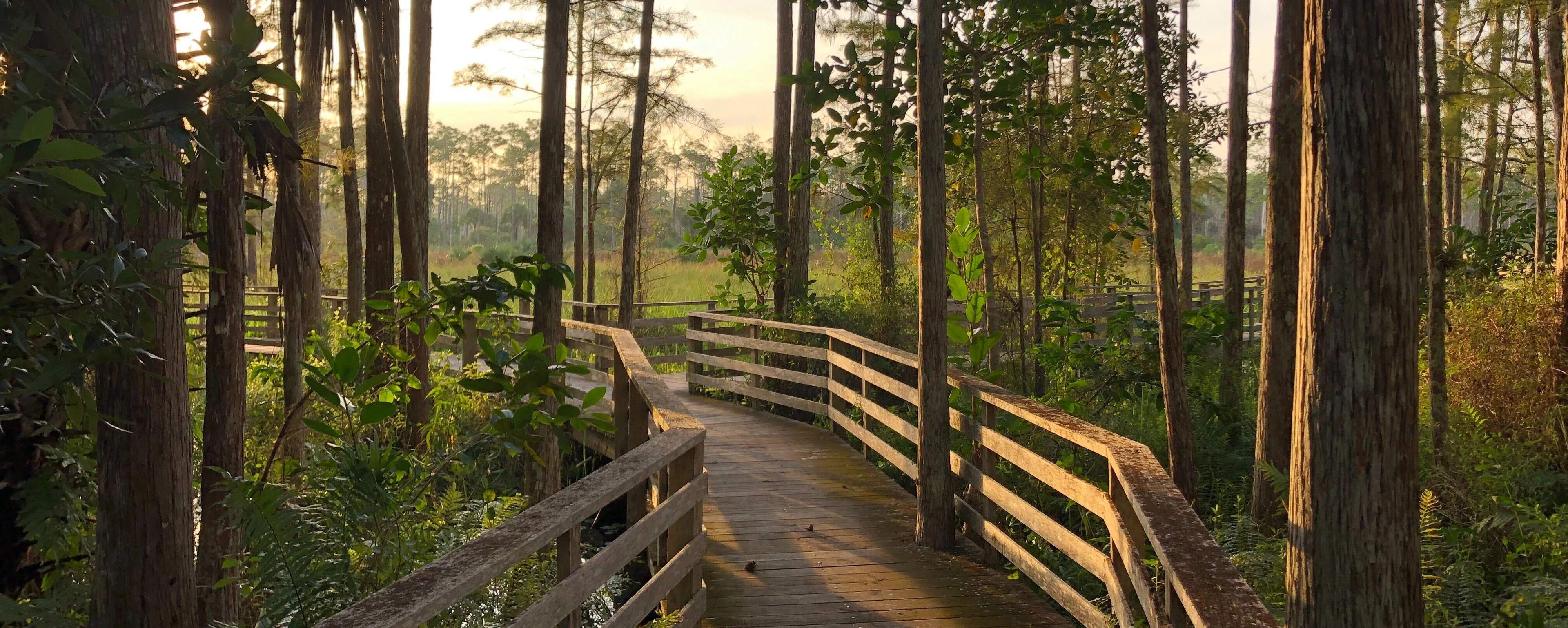 La tua esperienza a Magnolia Plantation and Gardens — Tour e biglietti