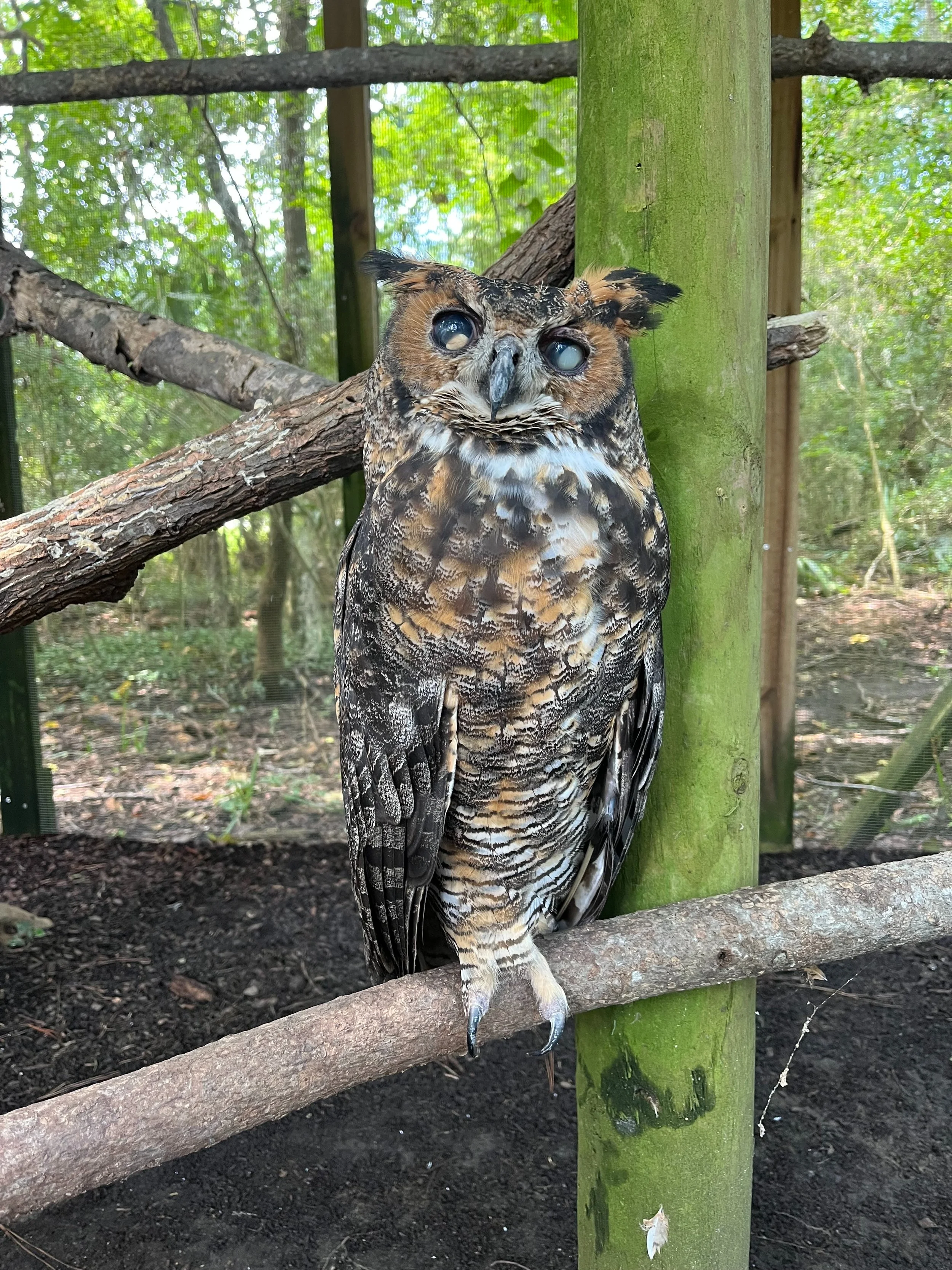 Centro per la Fauna Selvatica