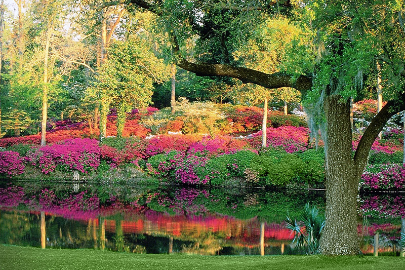Middleton Place