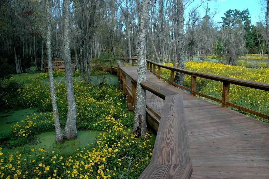Audubon Swamp Garden
