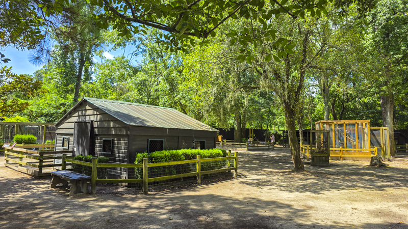 Centro fauna selvatica e Peacock Café