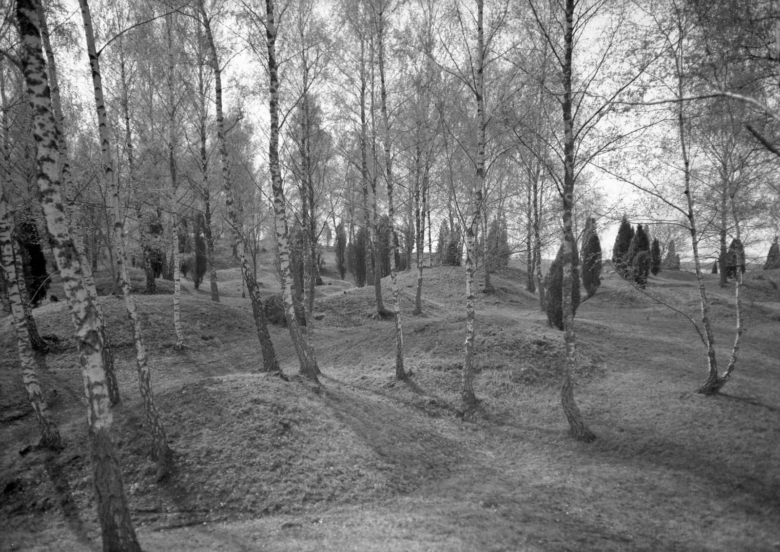 The Archaeological Fields