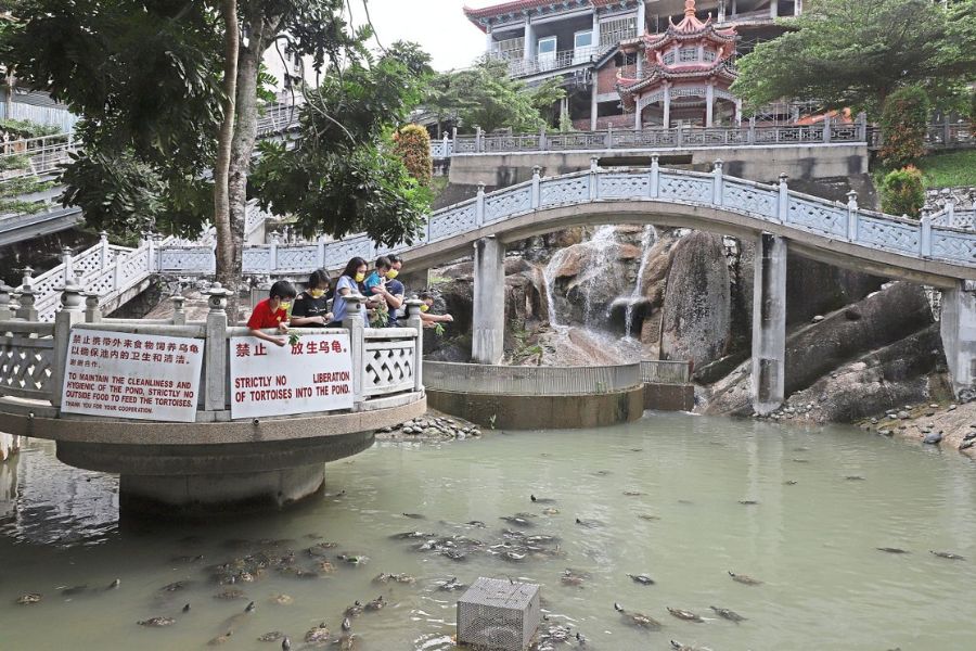 Pond of Longevity