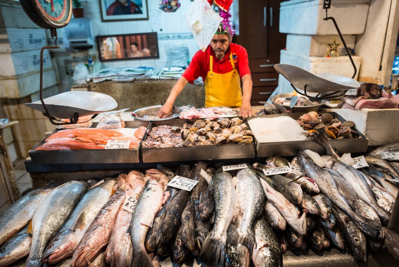 Santiago Culinary Tour