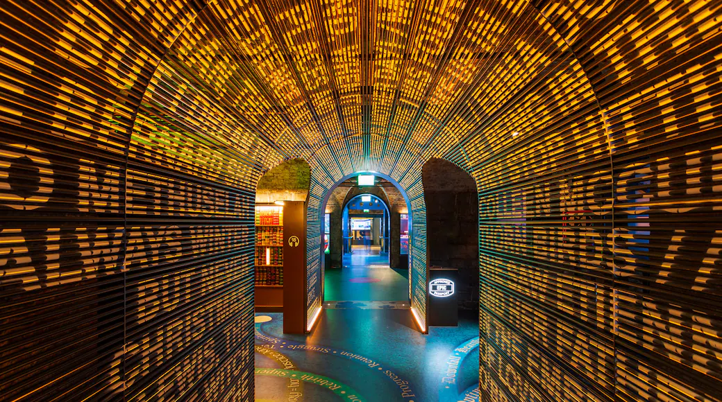 Epic Museum Dublin Tours & Tickets