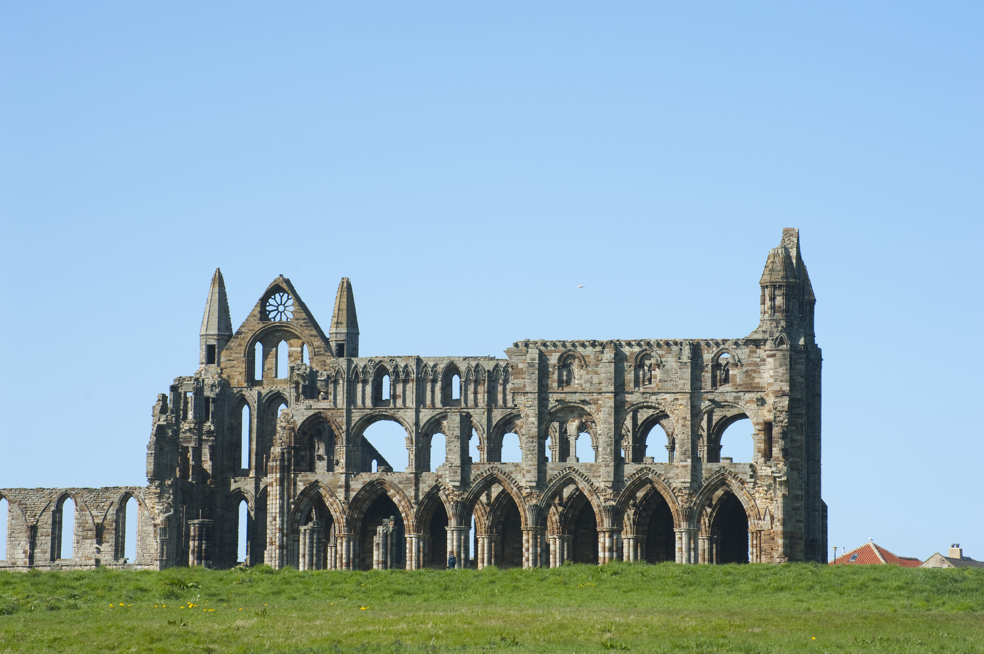 Besuch von Whitby Abbey auf der Klippe