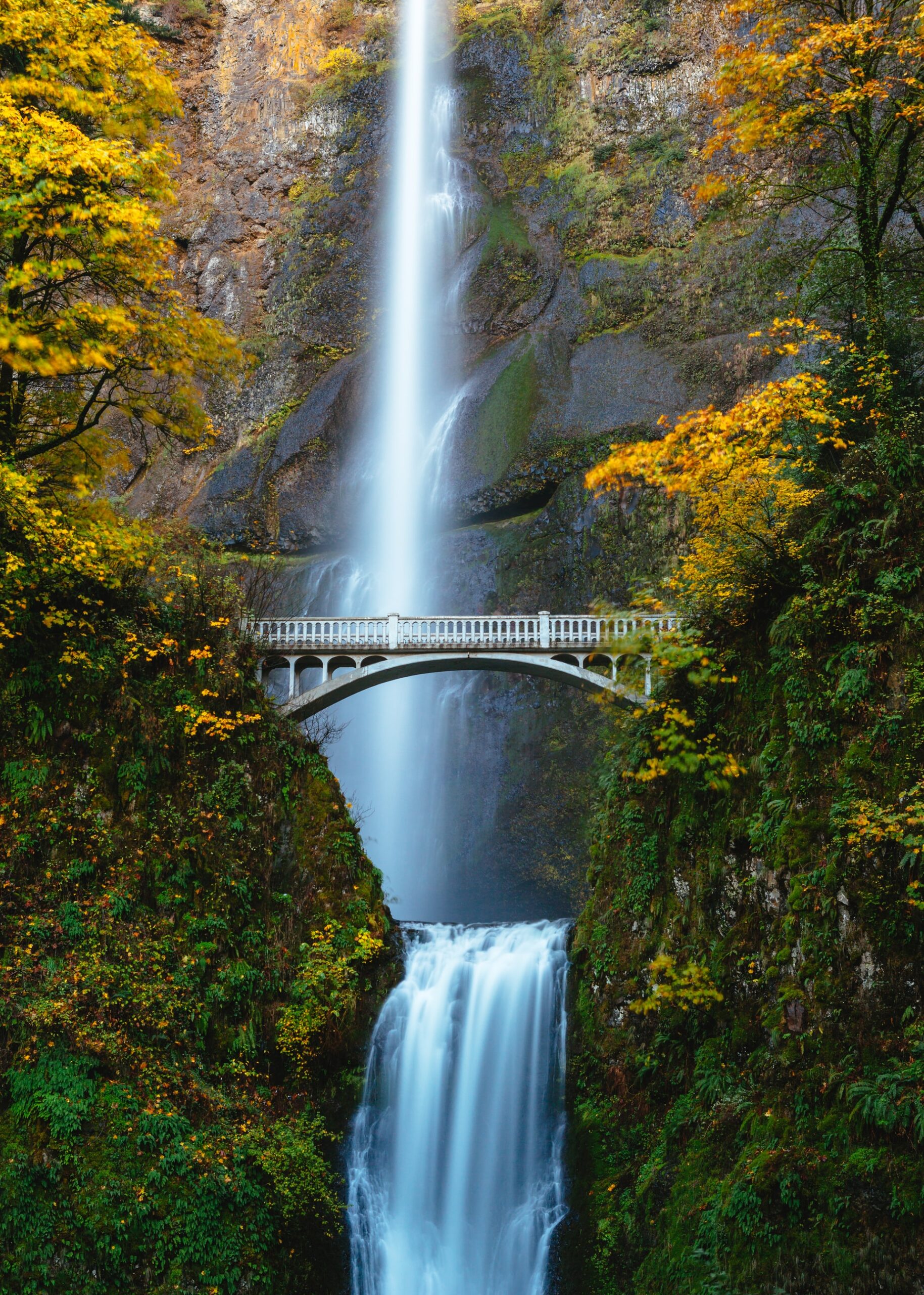 Multnomah Falls Tours & Tickets