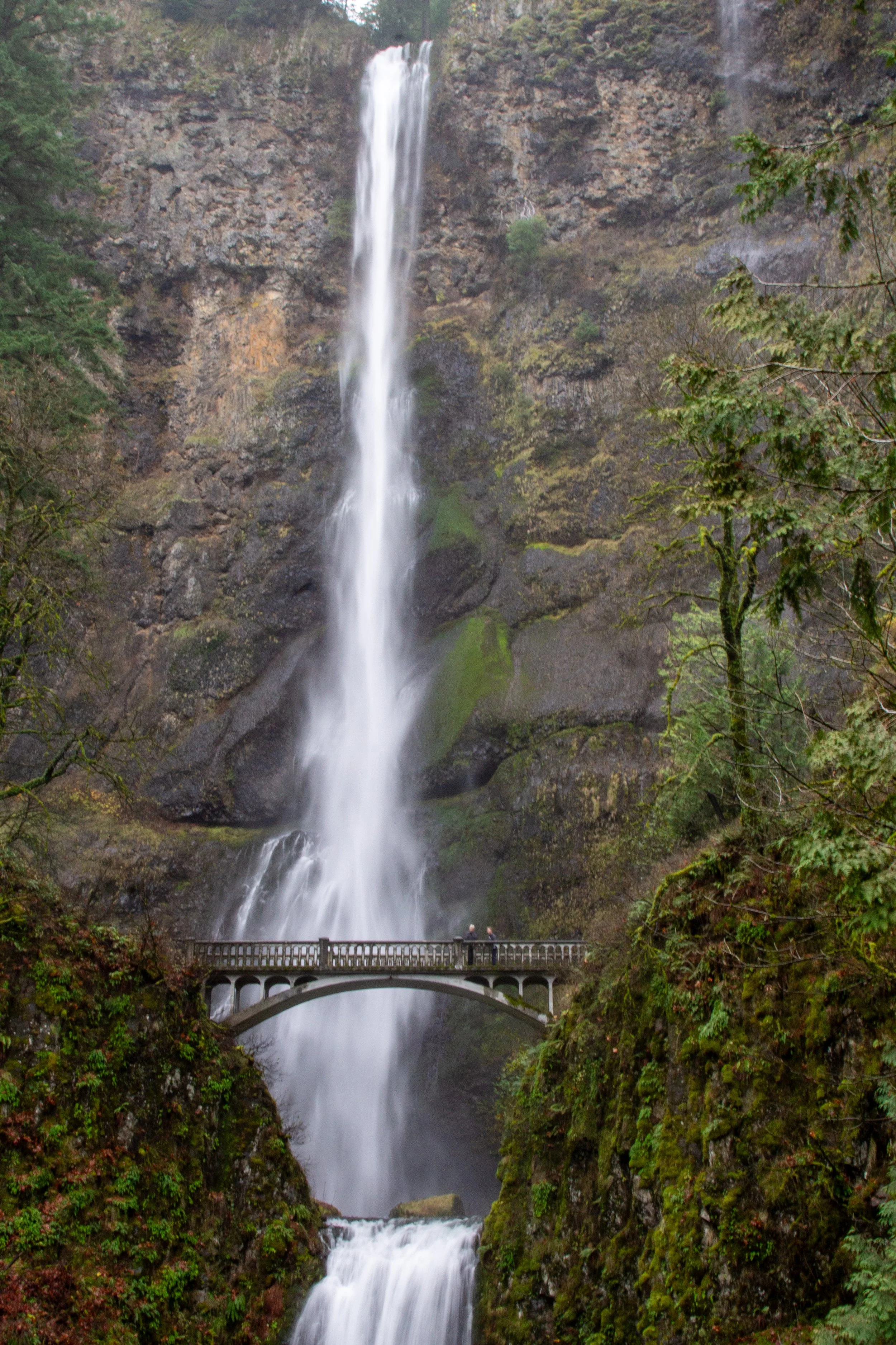 Your experience at Multnomah Falls Tours & Tickets