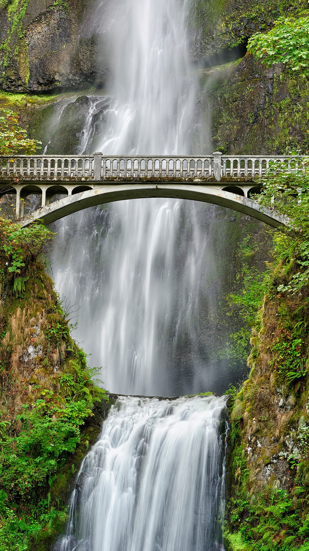 Benson Bridge