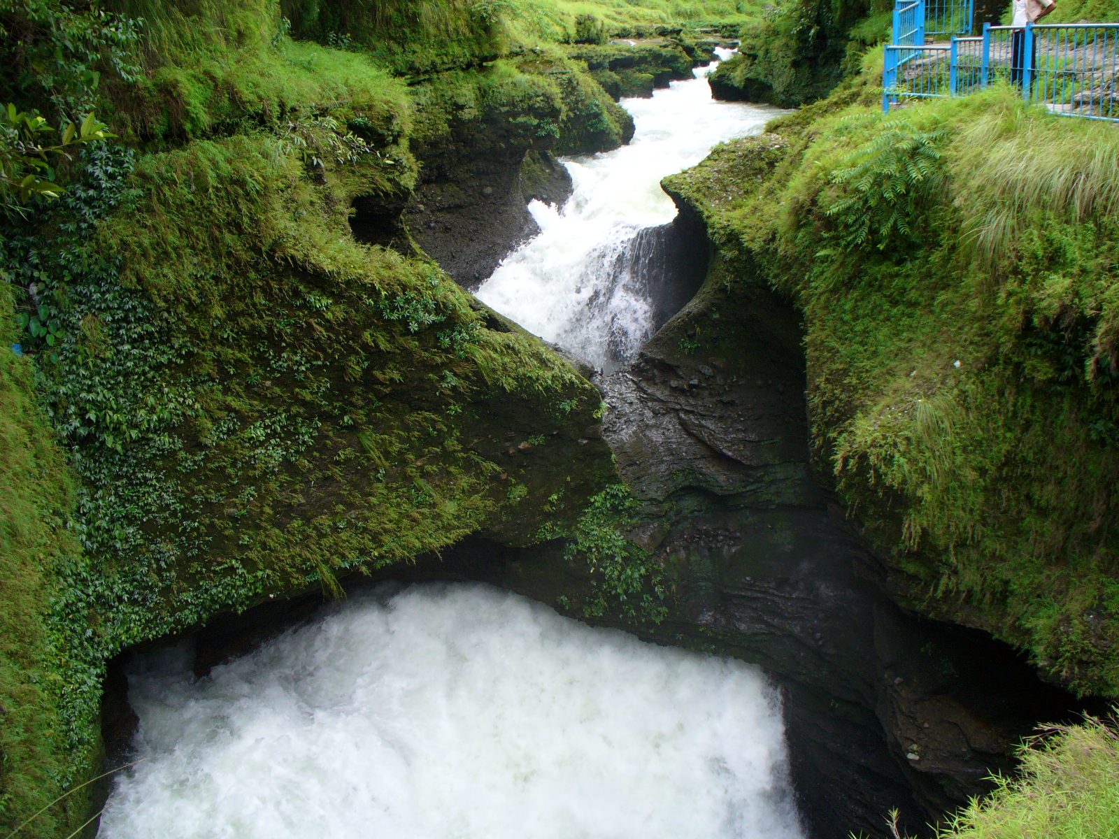 Davi's Fall