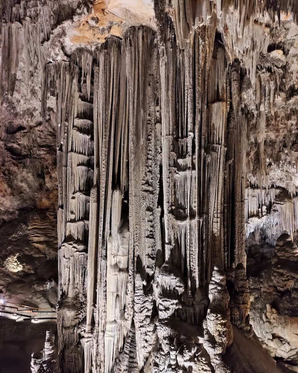Organ Corner (Rincón del Órgano)