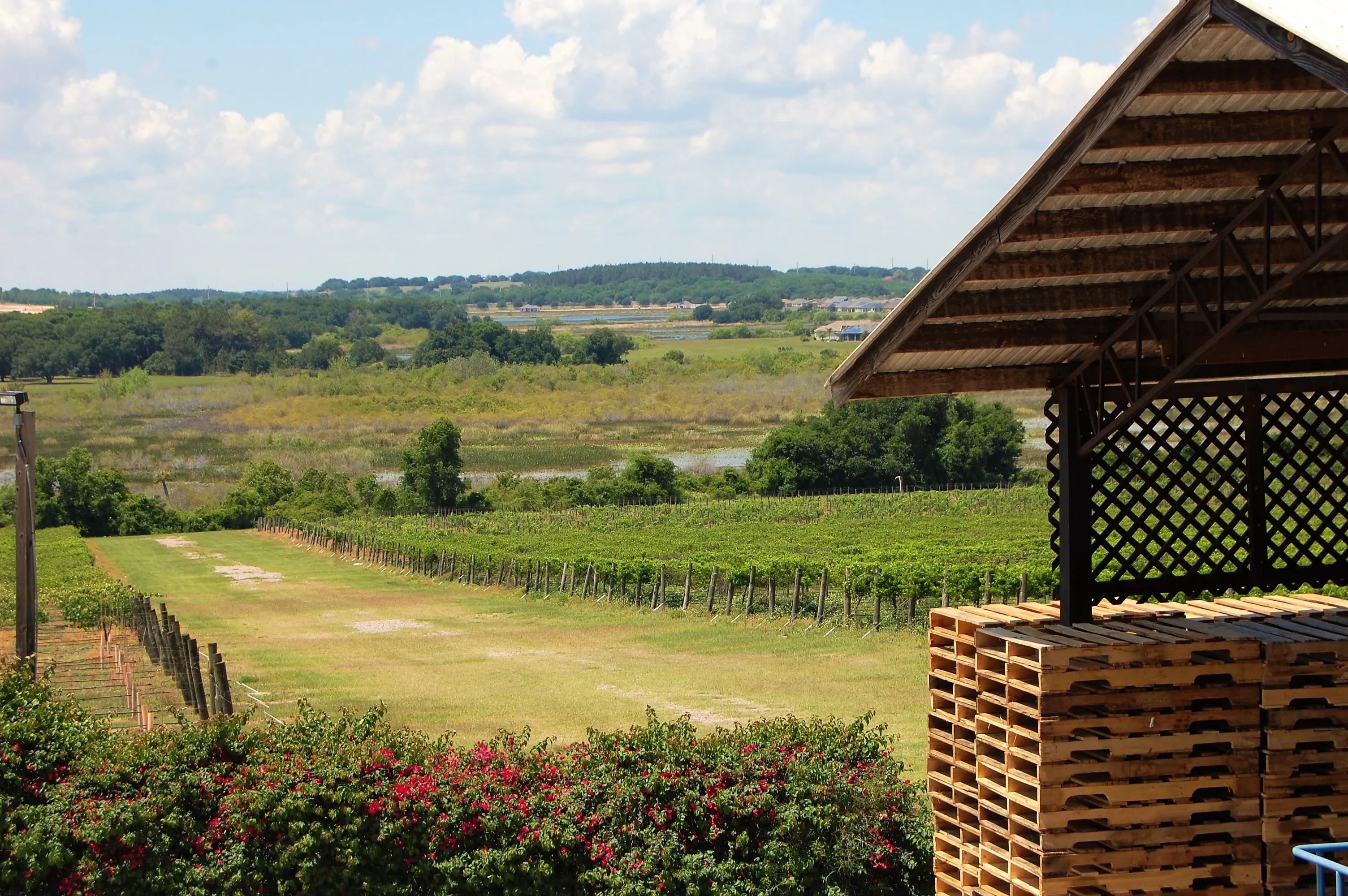 Lakeridge Winery and Vineyards