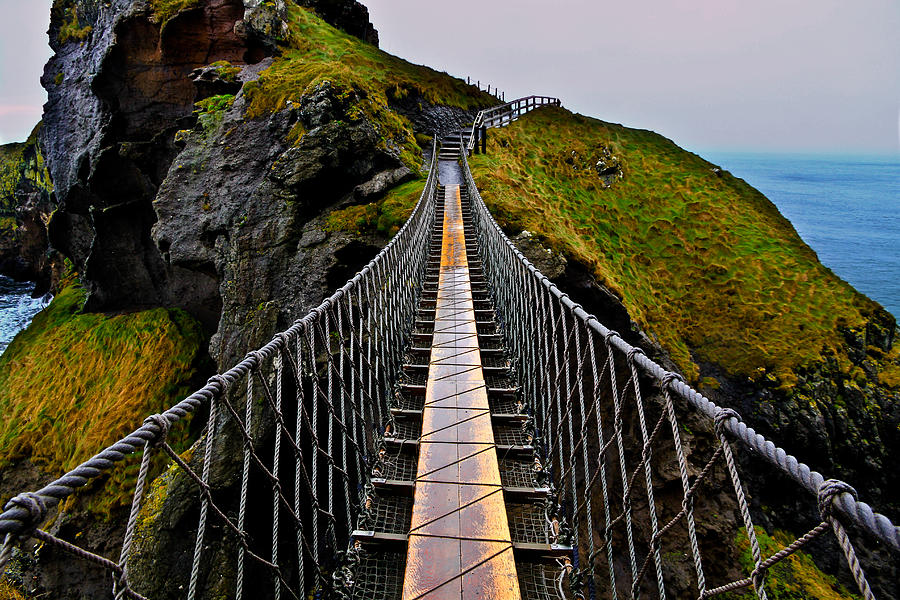 Carrick a Rede Rope Bridge Tours & Tickets