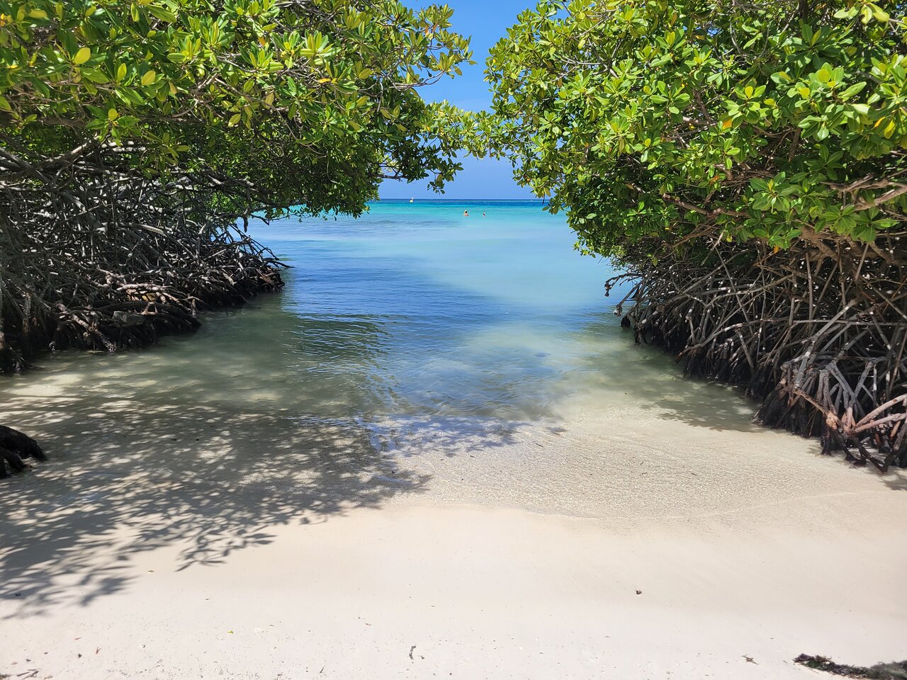 Mangel Halto Snorkeling Guide