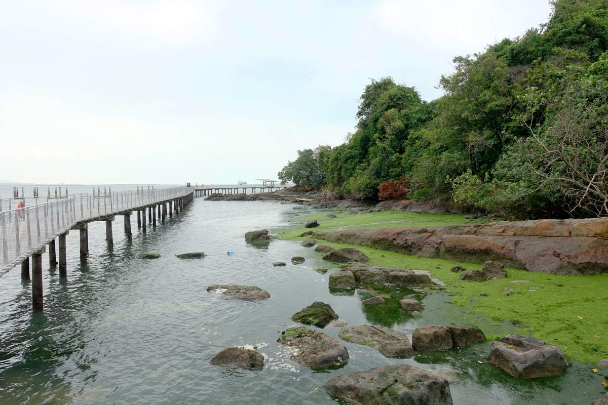 Chek Jawa Wetlands
