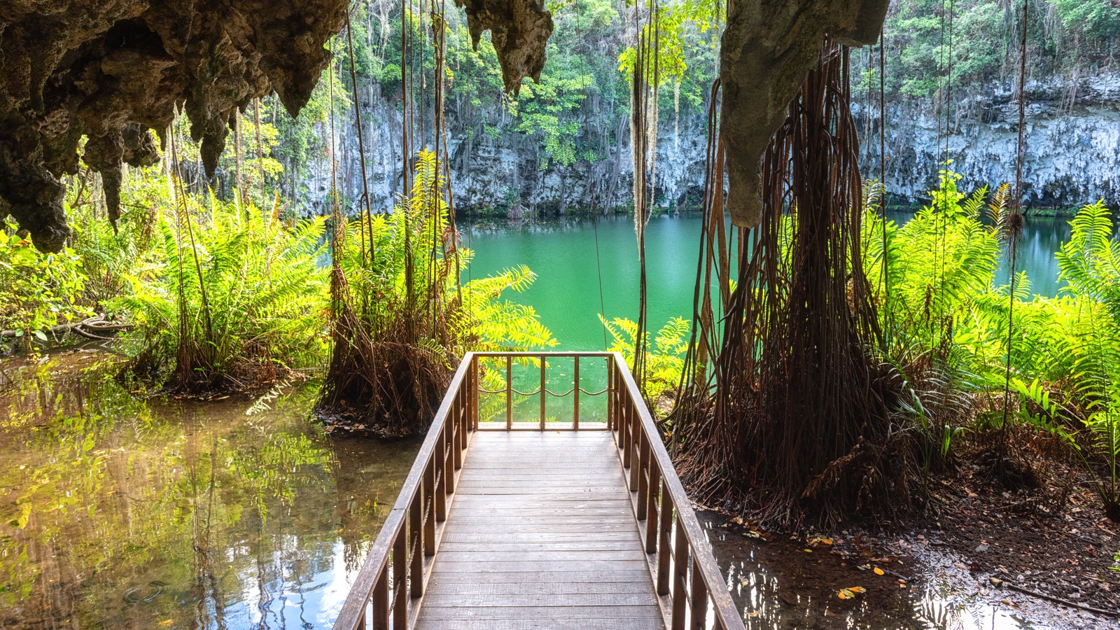 Visites et billets pour le Parc national Los Tres Ojos