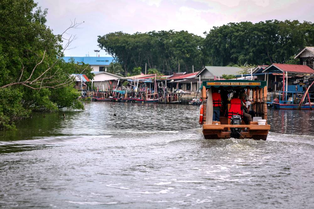 Juru River Mangroves