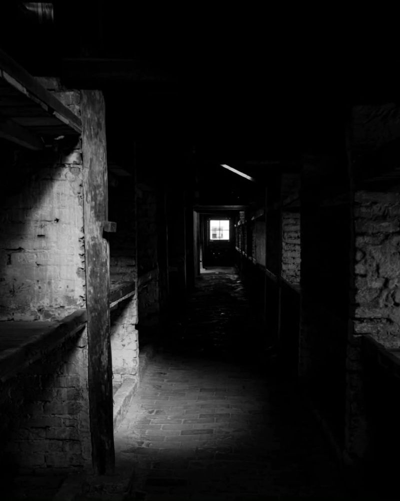 Auschwitz Tour From Krakow