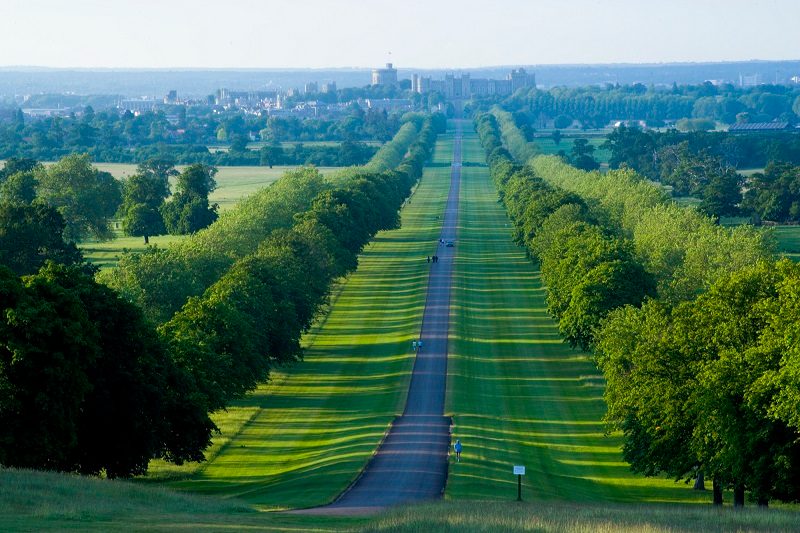 The Long Walk