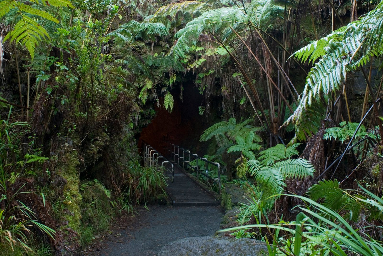 Thurston Lava Tube