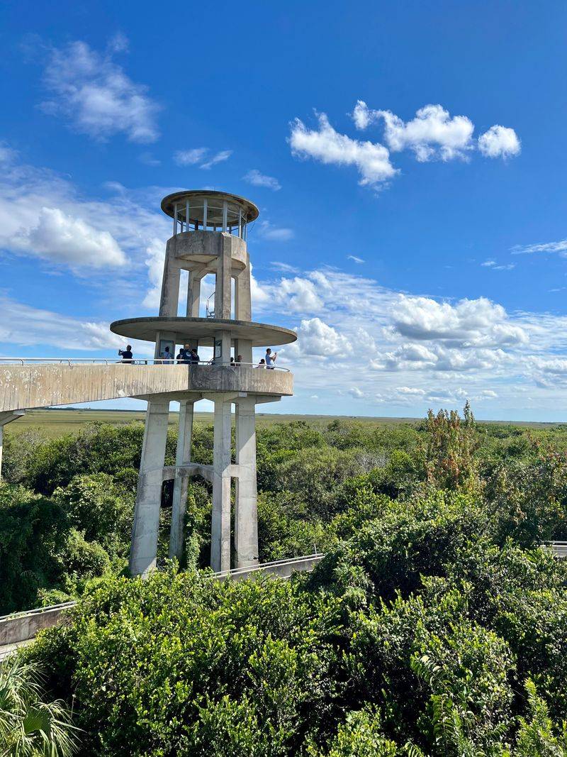 Shark Valley Observation Tower