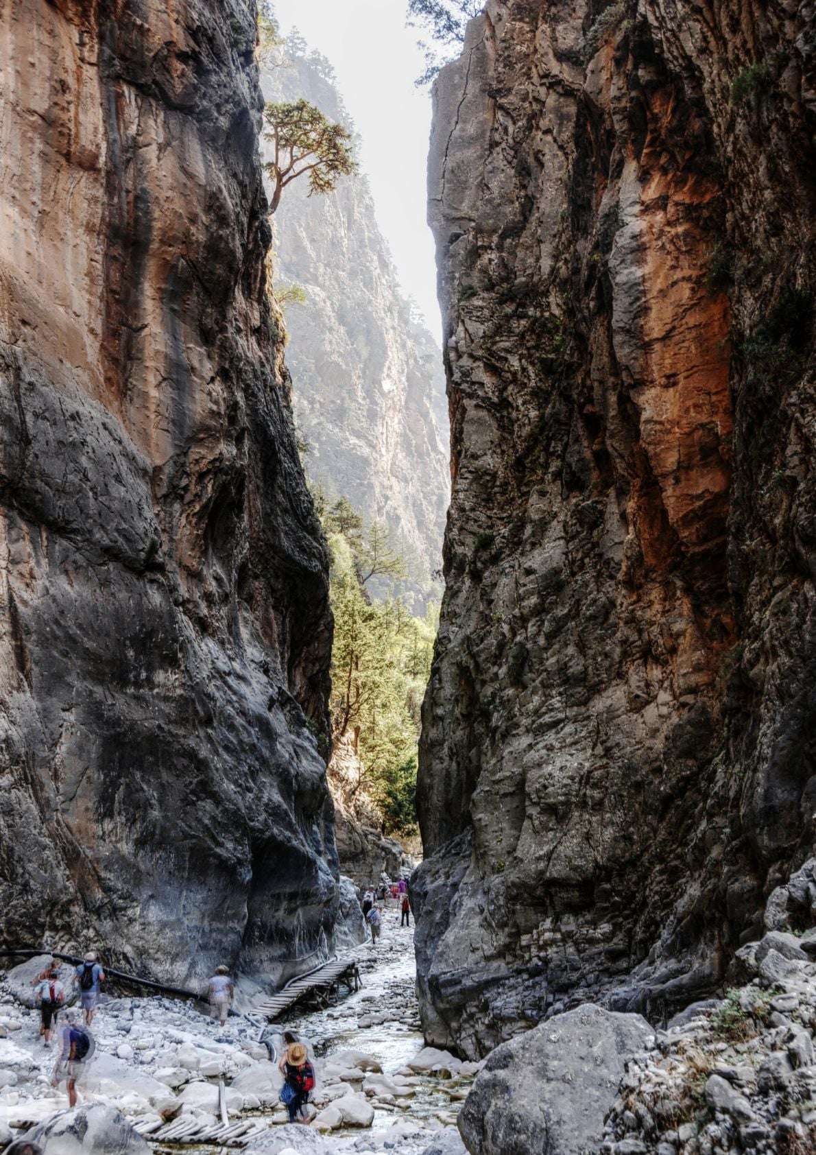 Samaria Gorge Tour from Chania Guide