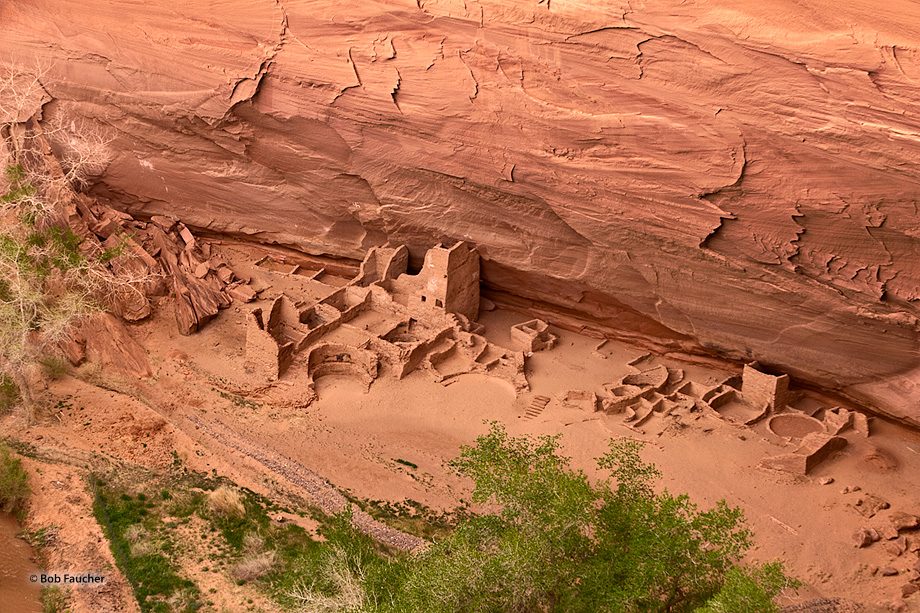 Antelope House