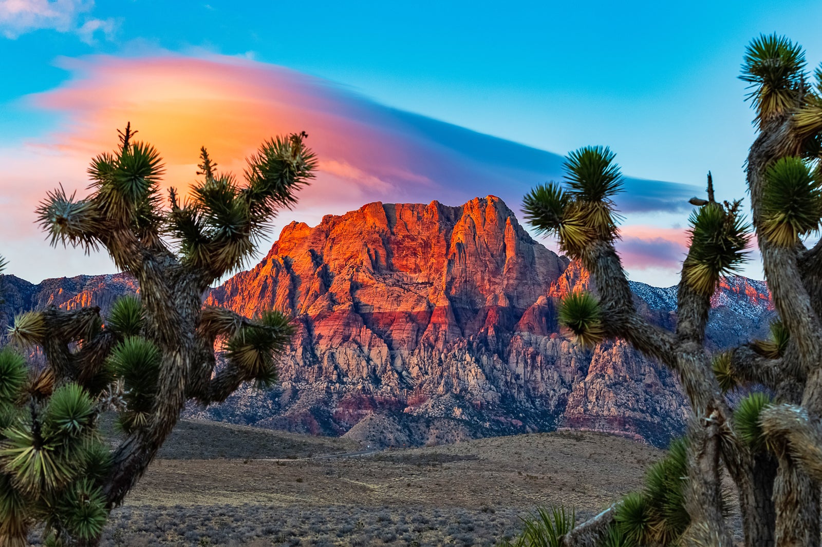 Red Rock Canyon Overlook