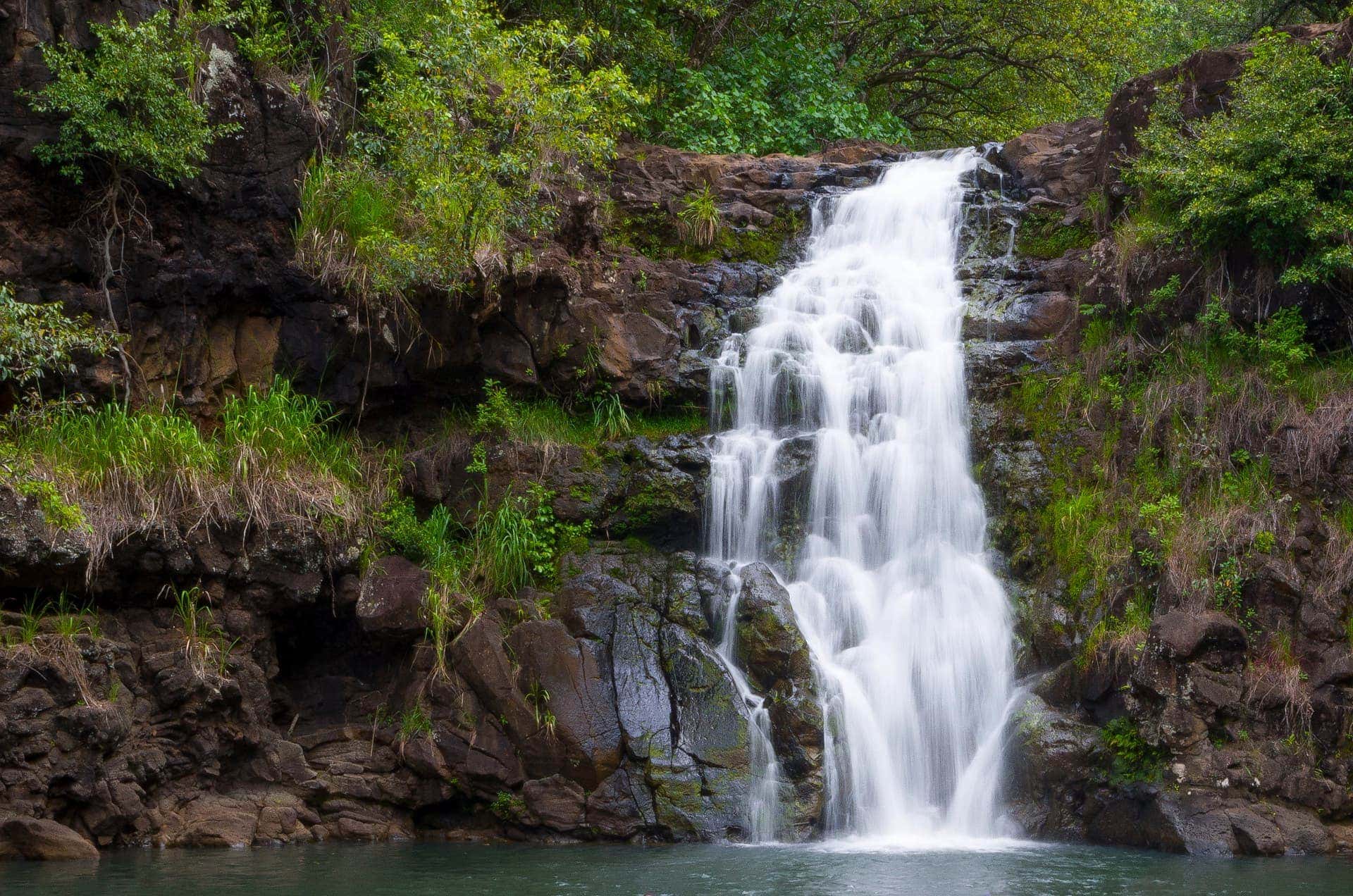 Waimea Falls Tours & Tickets