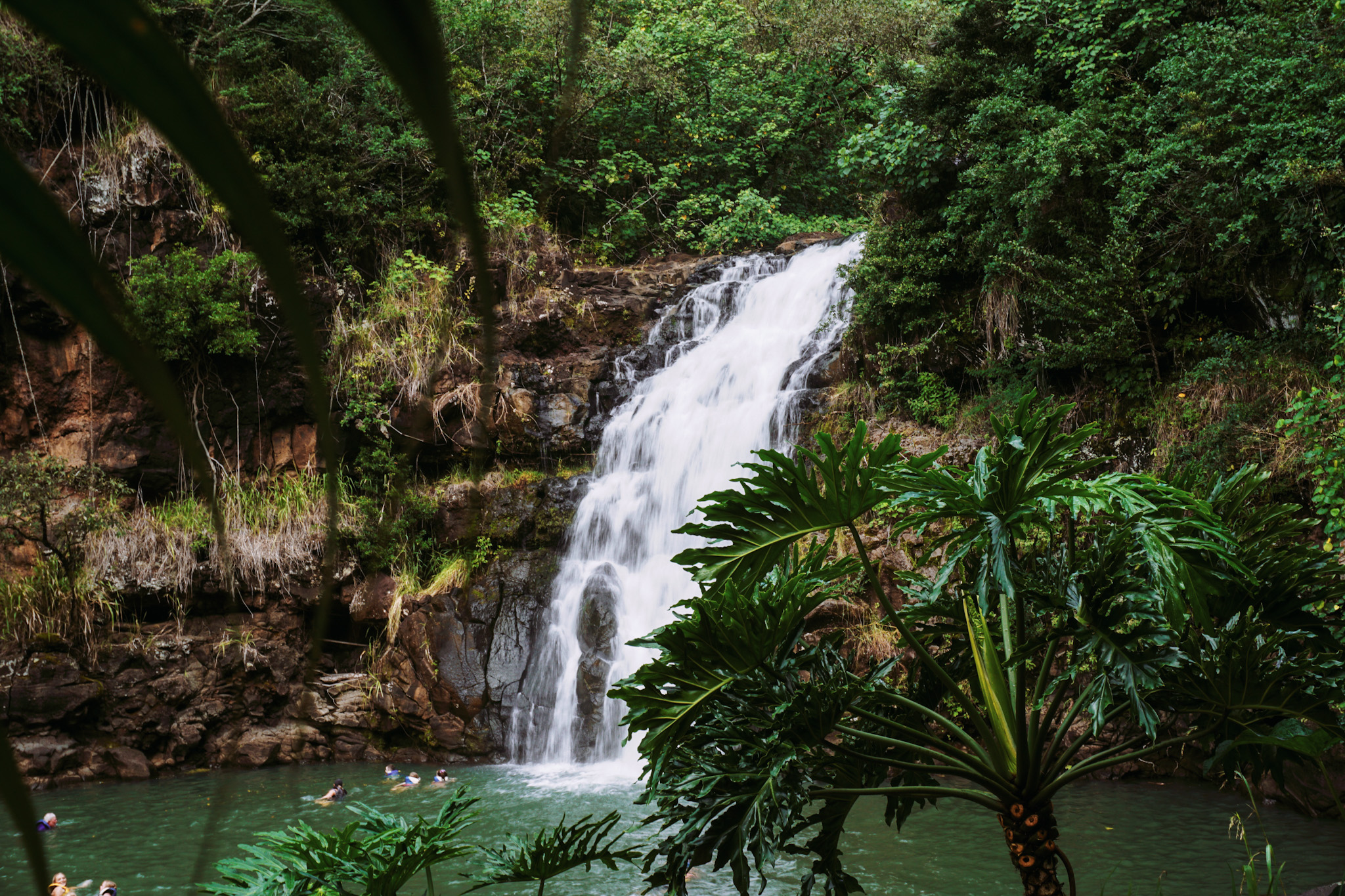 Explore Waimea Falls and Valley