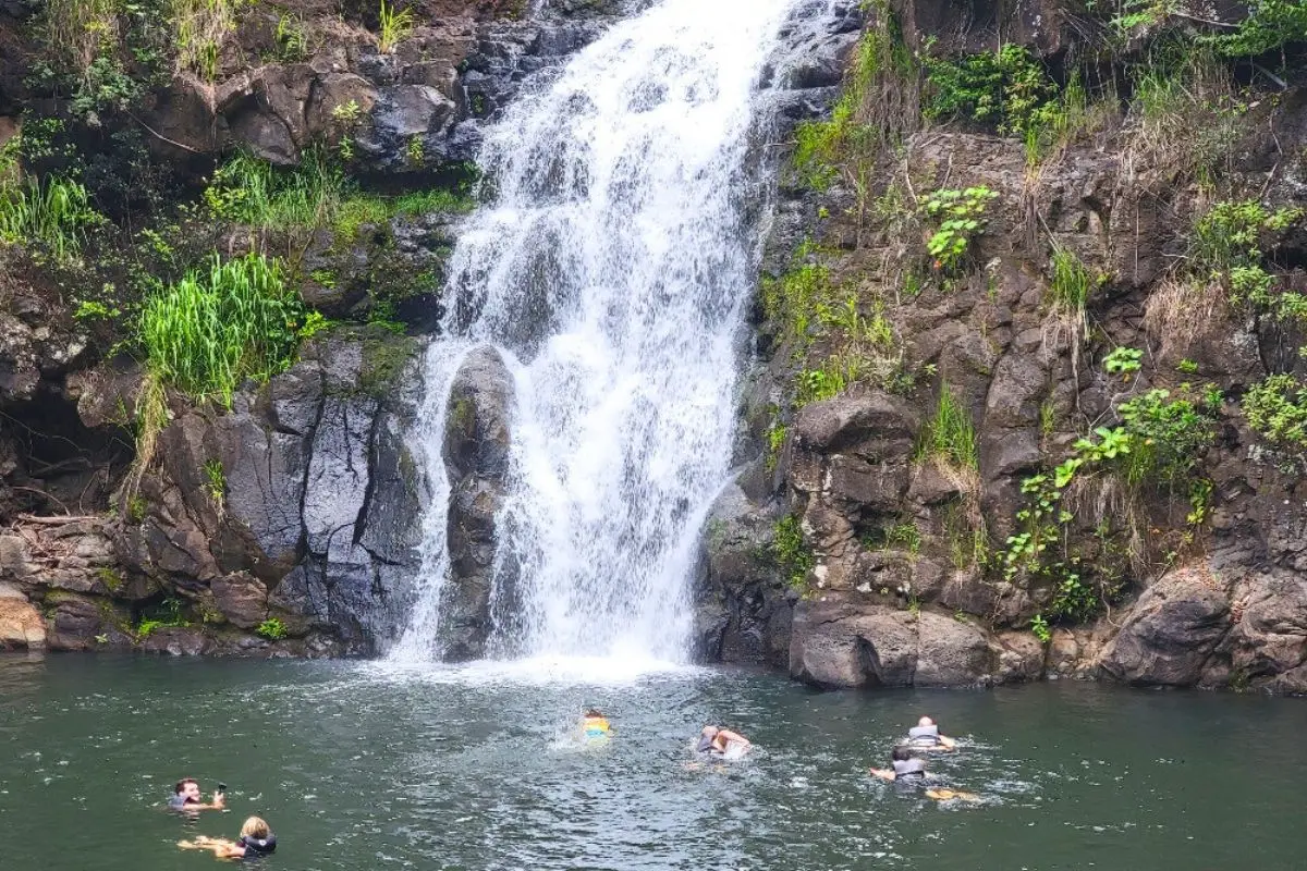Your experience at Waimea Falls Tours & Tickets