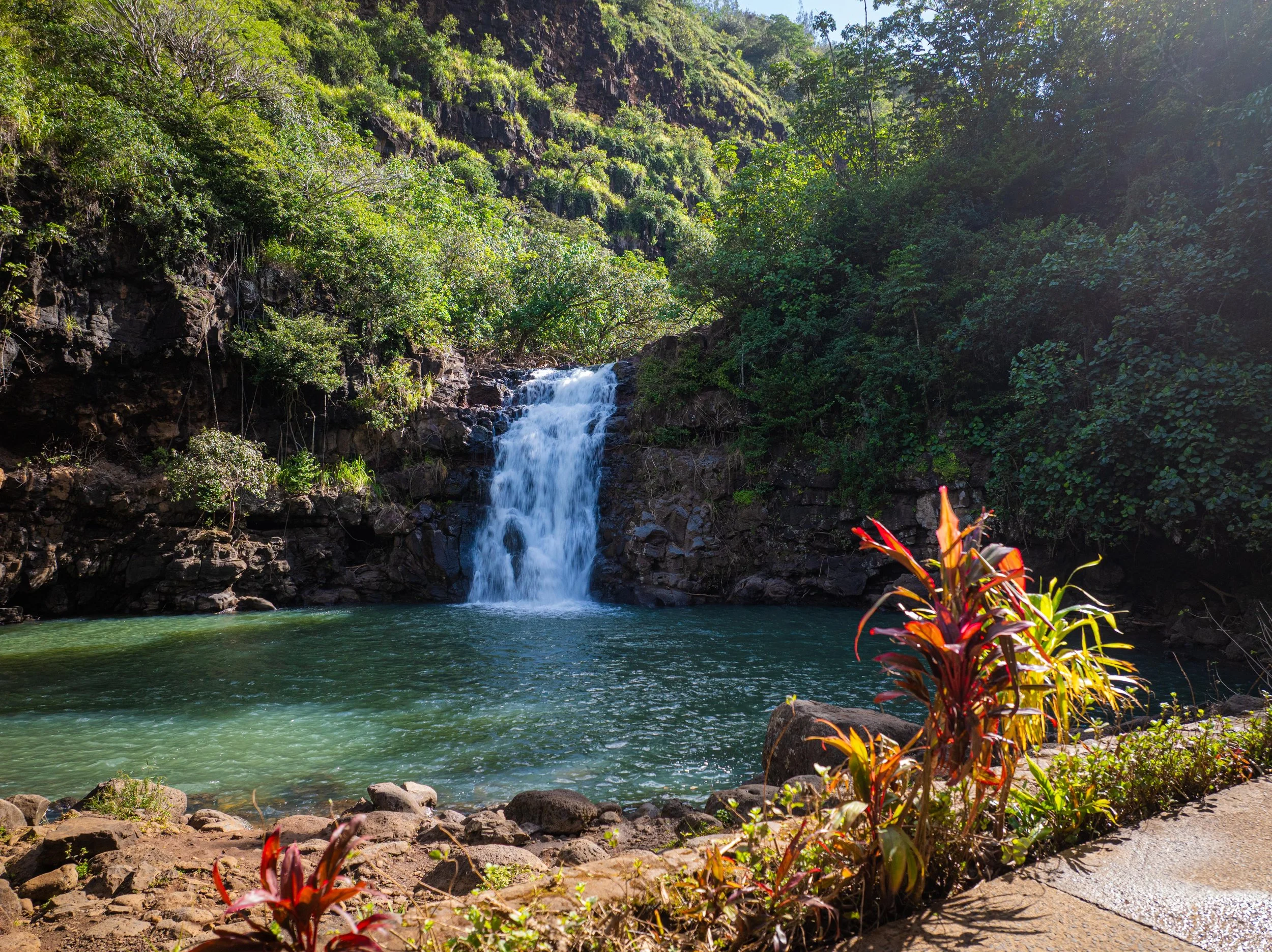 Waimea Falls (Waihi Falls)