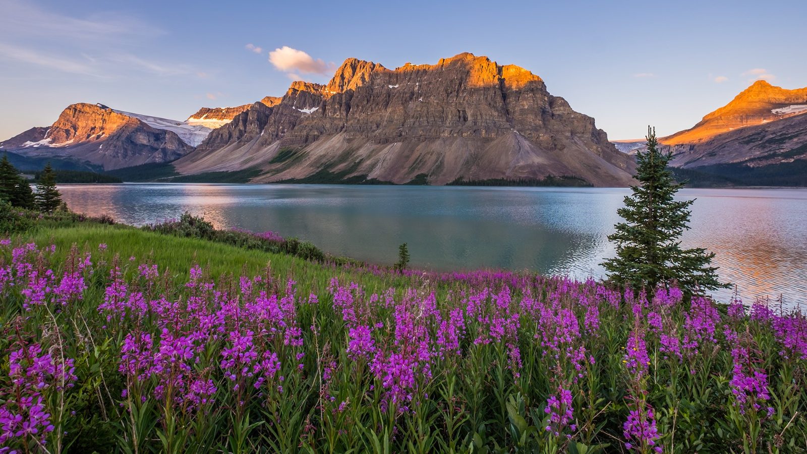 Bow Lake Shoreline