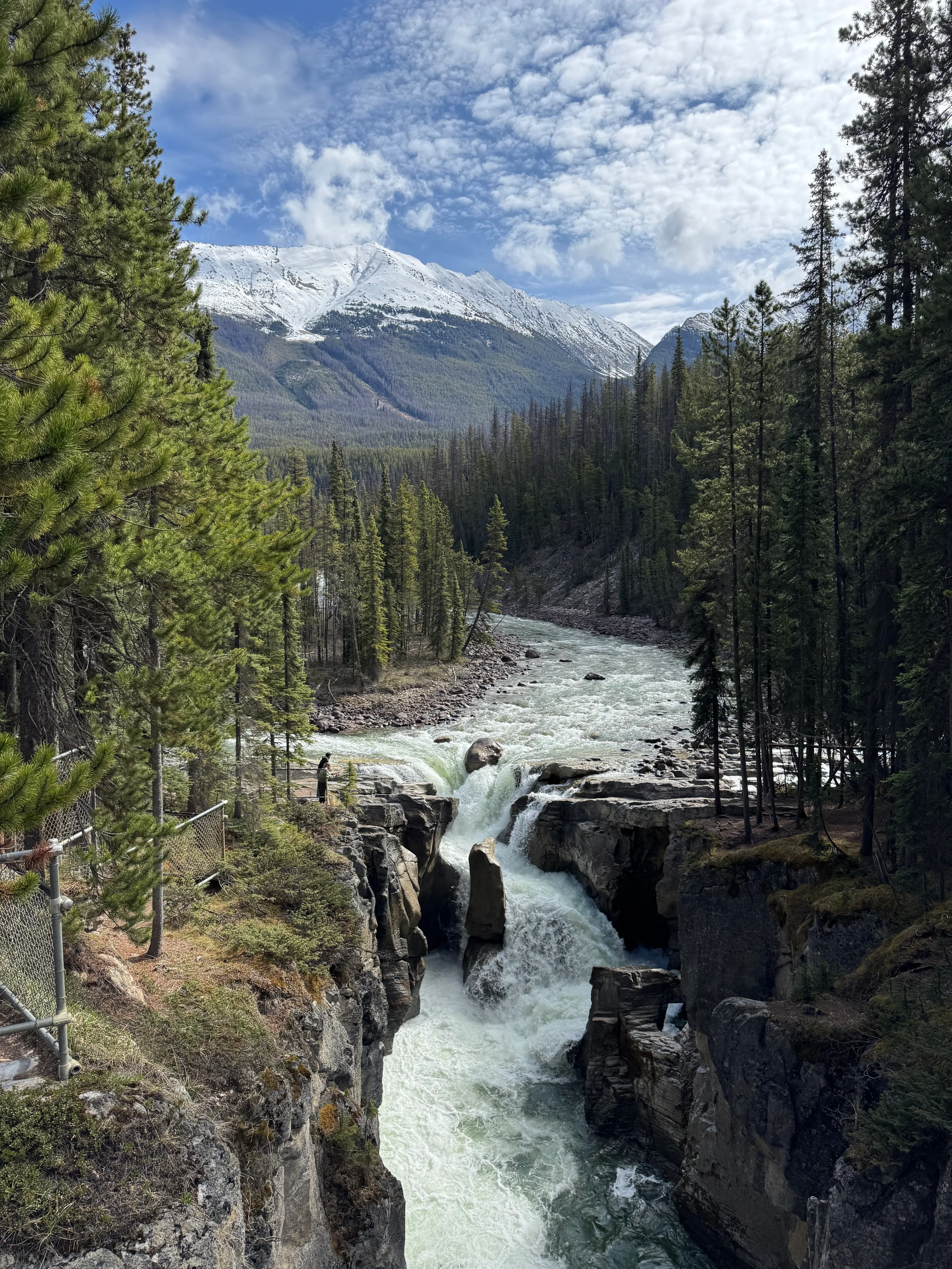 Sunwapta Falls